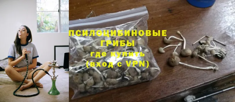 кракен как войти  дарнет шоп  Улан-Удэ  Псилоцибиновые грибы Magic Shrooms 